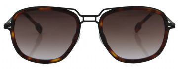 Perez // Odette Lunettes