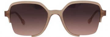 Taylor // Odette Lunettes